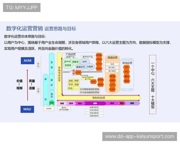 赛事观众画像多元化营销策略需升级，观众画像产出是什么意思