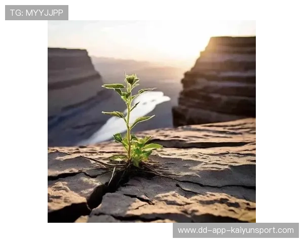 逆境秀：那些让人红眼的逆转奇迹！，逆境中逆袭是什么意思